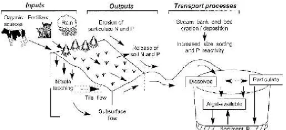 Figure 1. Inputs, outputs and transport of nitrogen and phosphorus from agricultural land (Carpenter et al., 1998)