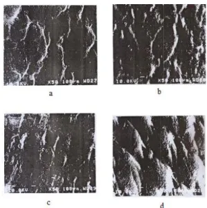 Fig. 2. Scanning electron micrographsof coated leather samples a)  nitrocellulose topcoated b) polyvinyl alcohol top coated c) 50/50 blend 