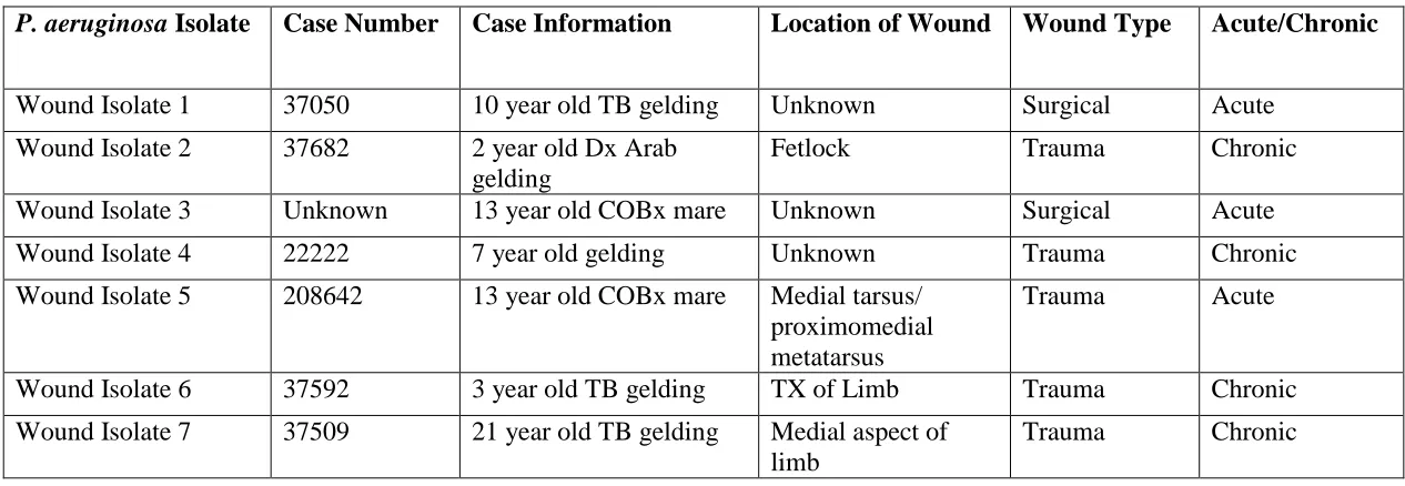 Table 1: Equine case details for each P. aeruginosa isolate. Cases included 5 chronic wounds, all of which were trauma wounds, and 2 acute 