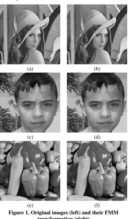 Figure 1. Original images (left) and their FMM transformation (right) 