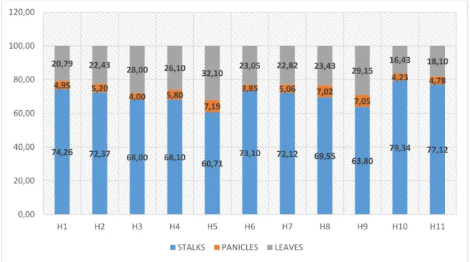 Figure 3 – The percentage of different component to the total green mass yield  on sweet sorghum hybrids in 2014 