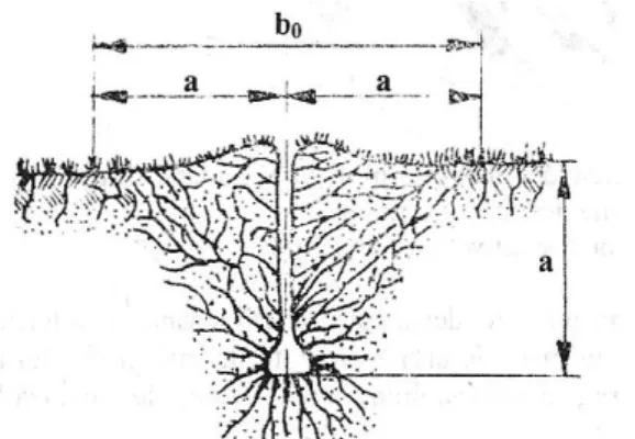 Fig. 4 - Section of soil processed by afânareadâncă by a body working 