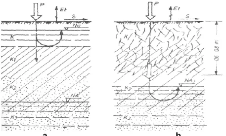 Figure 6 – The effect of deep soil loosening on land with hard permeabil clay layer located at small  depth  