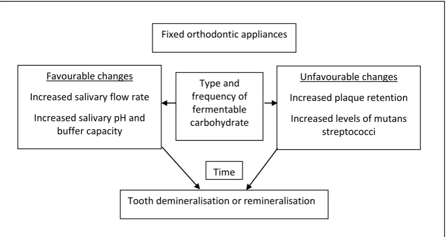 Figure 4.1: The sequence of events and influencing factors in the demineralisation and remineralisation processes, reproduced from Chang et al