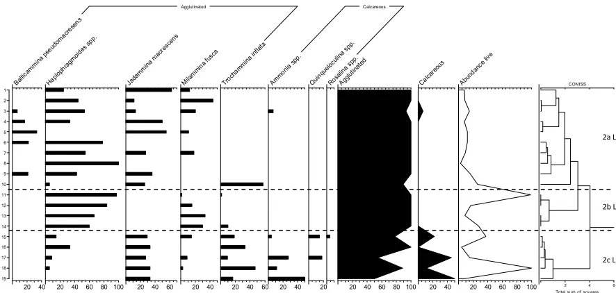 Figure 4.8 Relative percentages of live foraminifera abundance for OBSS1. Ordered by elevation from high (1) to low (22), with constrained cluster analysis based upon unweighted Euclidean distance