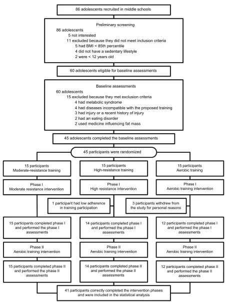Figure 2 Flowchart of the intervention program.Abbreviation: BMi, body mass index.