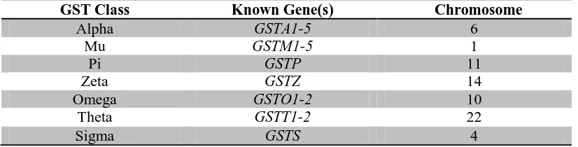 Table 3.2. Cytosolic GSTs with known gene(s) and chromosomal number.