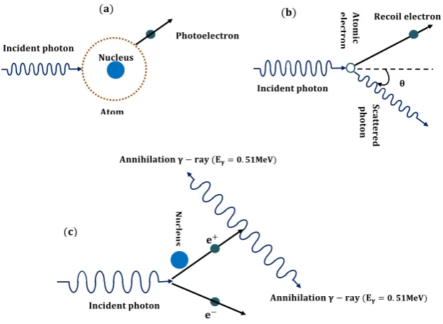 Figure 4.4: Schematic illustation for the interction processes of gamma-ray with mat-