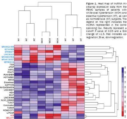 Figure 1. Heat map of lncRNA mi-croarray expression data from the PBMC samples of patients with white-coat hypertension (WCH) and essential hypertension (HT), as well as normotensive (NT) subjects