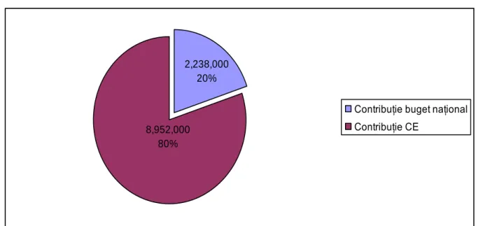 Fig. 6 – Origin of the amounts used for project financing within Measure 141, in the Olt County 
