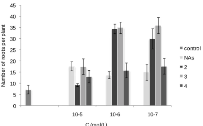 Fig. 1. Effect of NAs and NA amides 2, 3, and 4 on formation  of adventitious roots in sunflower cuttings under different 