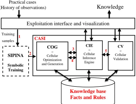 Fig 2: General diagram of the cellular machine (CASI) [2]  