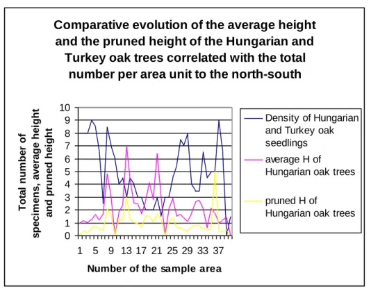 Fig. 3. Comparative evolution of the average height and the pruned height of the Hungarian and  Turkey oak trees correlated with the total number per area unit to the north-south 