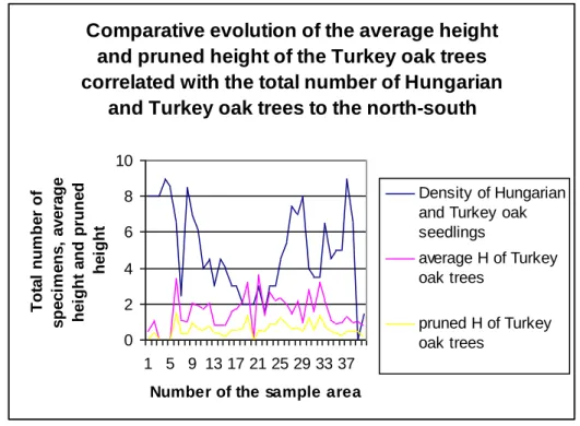 Fig. 4. Comparative evolution of the average height and pruned height of the Turkey oak trees  correlated with the total number of Hungarian and Turkey oak trees tot the north-south 
