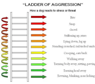Figure 1: Ladder of Aggression by Kendal Shepherd, Reproduced with permission from the BSAVA Manual of Canine and Feline Behavioural Medicine