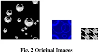 Fig. 2 Original Images 