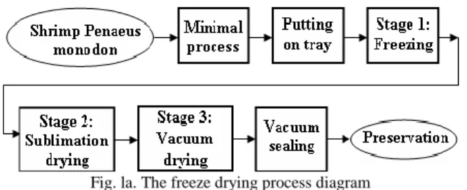 Fig. la. The freeze drying process diagram 