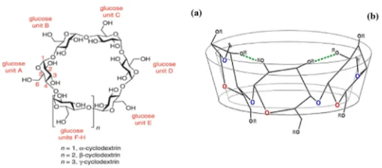 Figure 2: (a) Top prospect and (b) front side of basic structure of cyclodextrin.
