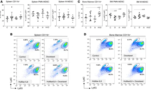 Figure 6. MDSC populations from the spleen and bone marrow are not affected by changes in tumor-secreted human IL-8