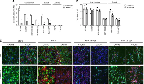 Figure 1. HuMax-IL8 neutralizes free IL-8 released by TNBC cells. (A) Assessment of secreted levels of IL-8 in culture supernatants of indicated breast cancer cell lines treated with HuMax-IL8 versus control IgG (25 μg/ml) for 3 days