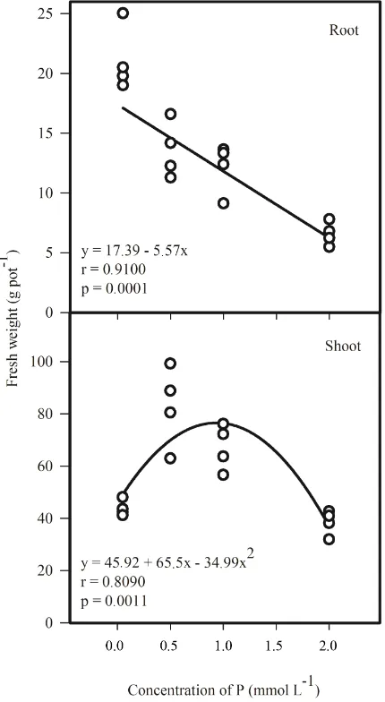 Figure 3. Correlation between fresh weight of roots and shoots of menthol mint (Mentha arvensis L.) under different levels of P (0.05, 0.5, 1 and 2 mmol∙L−1) in nutrient solution used in cultivation for 41 days