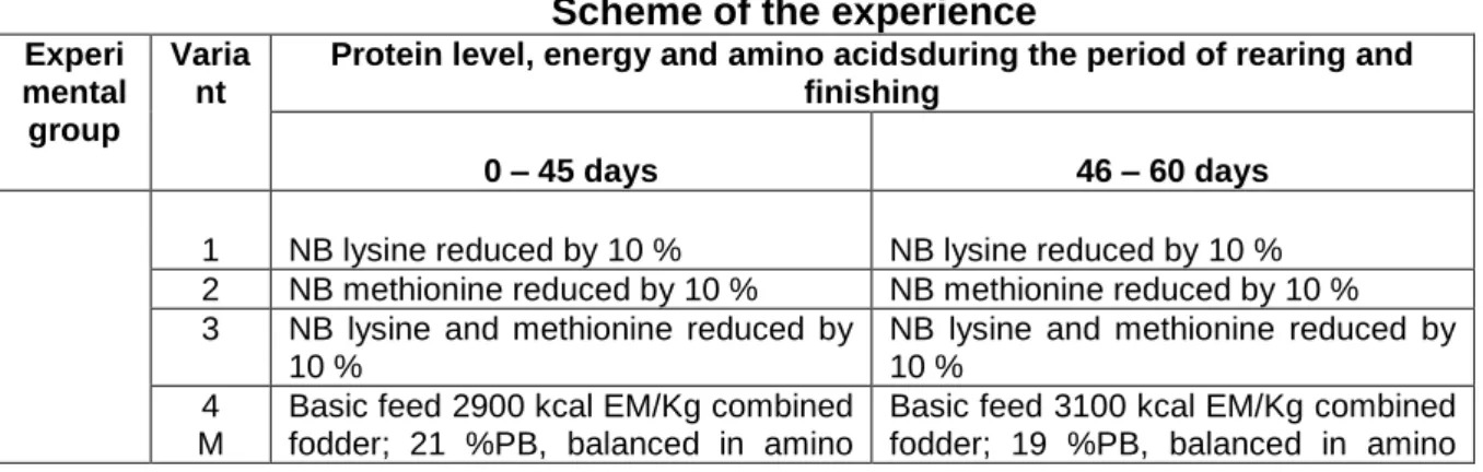 Table 1  Scheme of the experience 