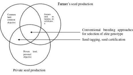 Figure 1. Interrelationships among community based seed production system, private seed 