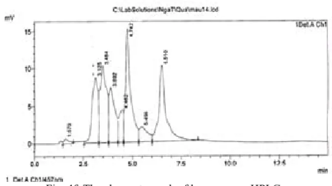 Fig. 4d. The system of HPLC. 