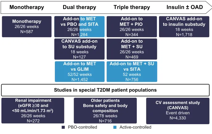 Figure 2 Phase III trial program with canagliflozin.