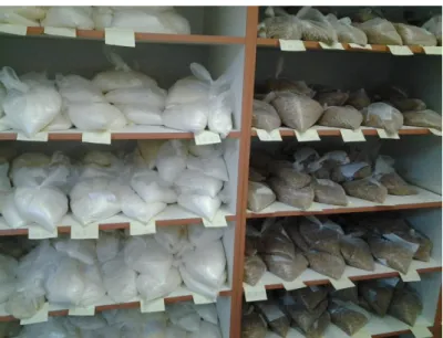 Figure 1 – Laboratory samples of wheat and flour before analysis 