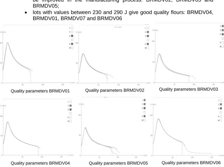 Figure 13 – Quality parameters on lot BRMDV 07 