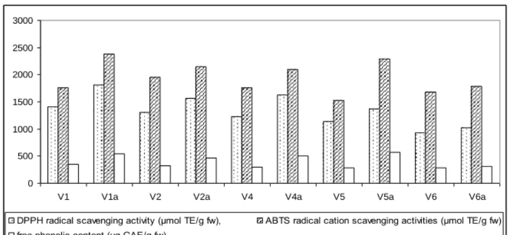 Figure 1. Free phenolic content (μg GAE/g fw), DPPH radical scavenging activities (μmol TE/g fw) and  ABTS radical cation scavenging activities (μmol TE/g fw) 
