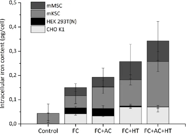 Figure 12 –  Measurement of intracellular iron content of mMSC, mKSC, HEK 293T(N) and CHO K1 with different supplements: FC-0.2 mM of ferric citrate, AC-50 µM L-ascorbic acid, HT-1.28 mM human holo-transferrin