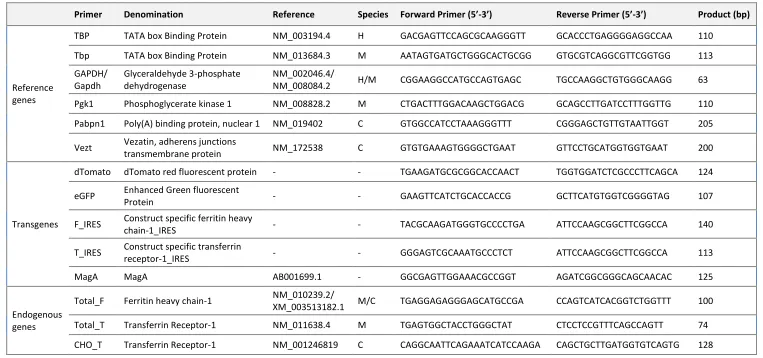 Table 6 – Sequence of primers used for amplification of cDNA by Real-Time PCR and resultant amplification product