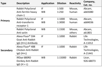 Table 7 – Description of primary and secondary Abs used in immunofluorescence (IF) and western blot (WB)