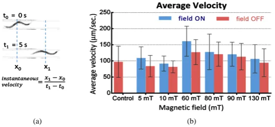 Figure 4. (a) The instantaneous worm velocity is calculated as the ratio of net displacement to the time interval