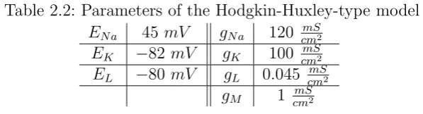 Table 2.2: Parameters of the Hodgkin-Huxley-type model