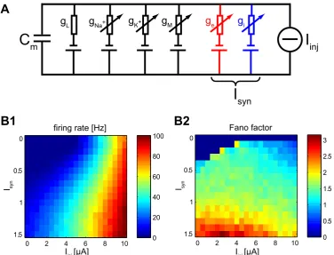 Figure 2.1: (A) Hodgking-Huxley-type neural model.Isyn describes the backgroundsynaptic input consisting of excitatory and inhibitory stochastic currents