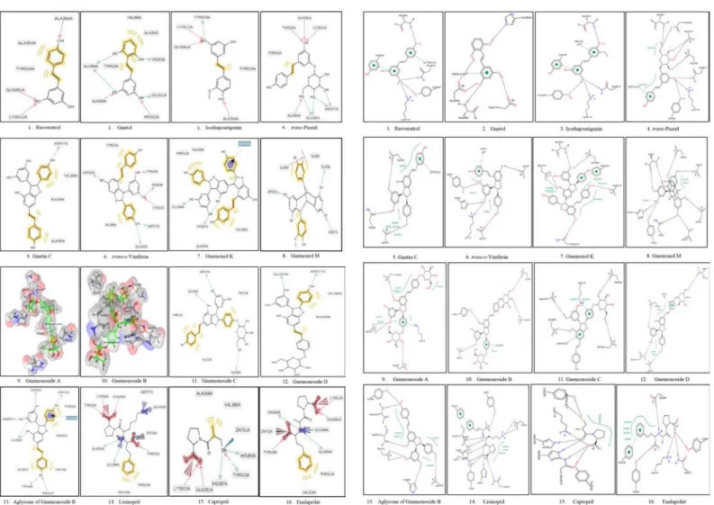 Figure 1: The visualization interactions of ligand-ACE complexes by using 
