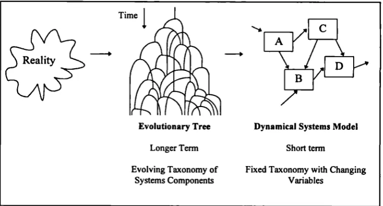 Figure 5.3. A Model as a Frozen Snapshot of Evolutionary Change