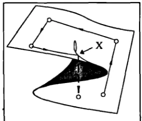 Figure 5.4. The Cusp Catastrophe