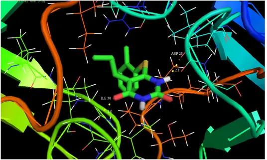 Fig. 12. Docking and hydrogen bond interactions of the title compound with chain 1EBW protein structure