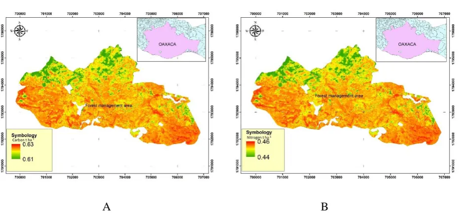 Figure 1. Carbon (A) and nitrogen (B) expansion in the forest management sites. 