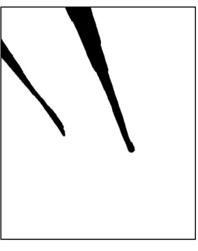 Figure 4.9 shows the results of the foreground polygon projections at frame 