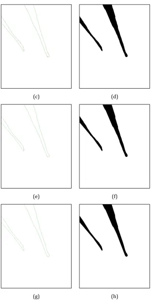 Figure 4.9 Results of the foreground polygon projection at frame 1020 in camera view a