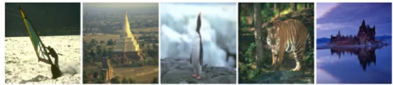 Figure 3. SOD dataset. Five sample images from SOD dataset are depicted where salient objects are localized 