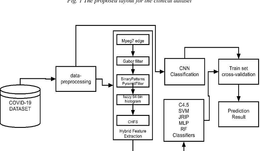 Fig. 1 The proposed layout for the clinical dataset  