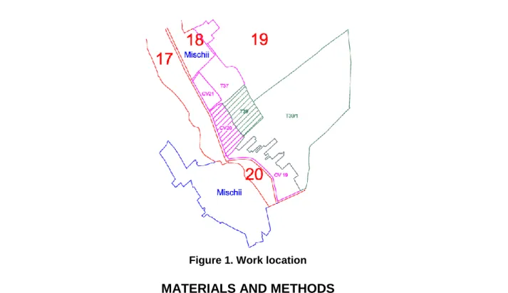 Figure 1. Work location 