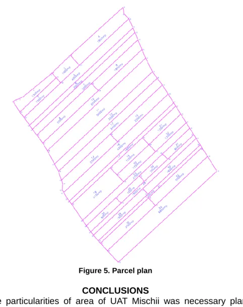 Figure 5. Parcel plan 