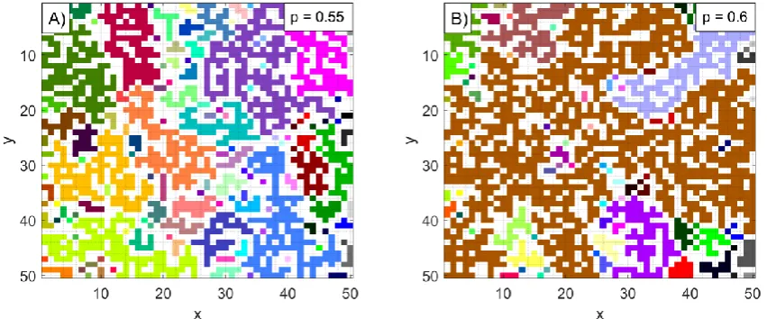 Figure 1: 2D, four connected, site percolation on a 50x50 site grid showing connected networks with the site probability (A) below and (B) above pc
